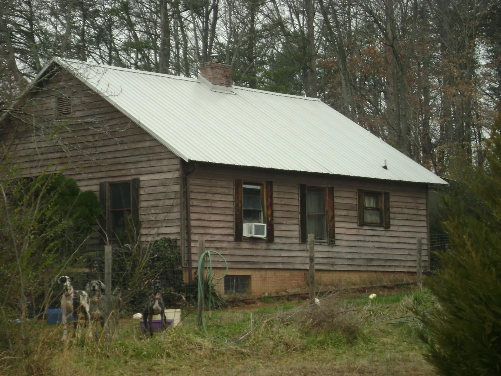 White metal roof on an old wood sided farmhouse, from a Asphalt Shingle Roof Repair job in Jackson